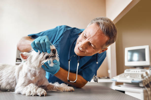 Best Emergency Treatment for Dental Infections or Abscesses in Chelsea, OK